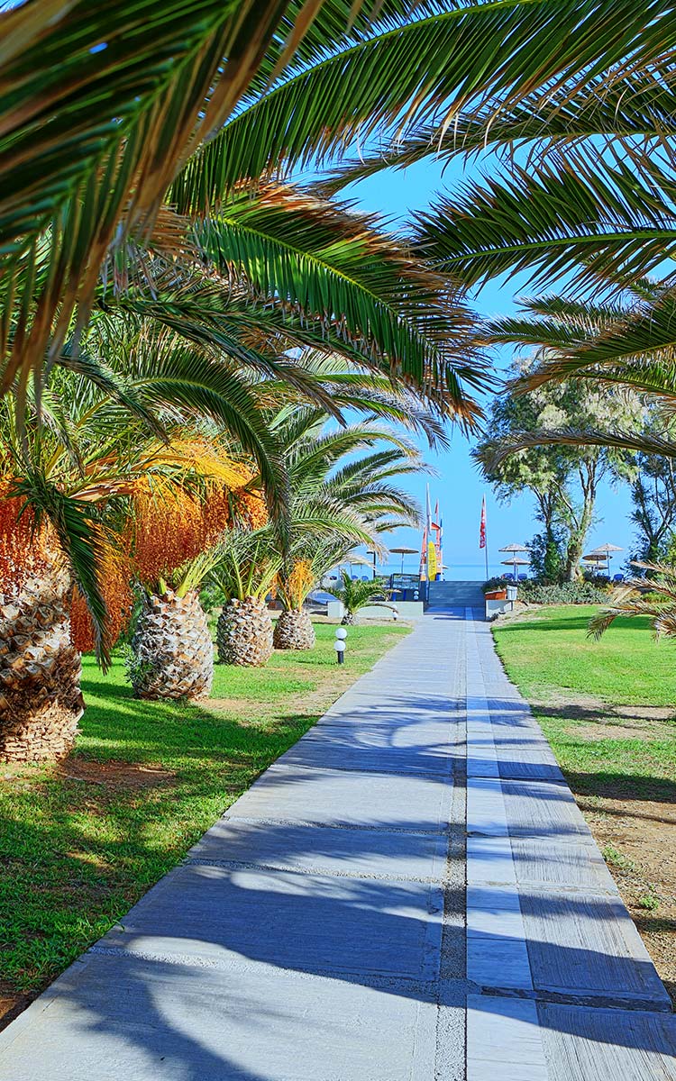 Santa Marina Resort