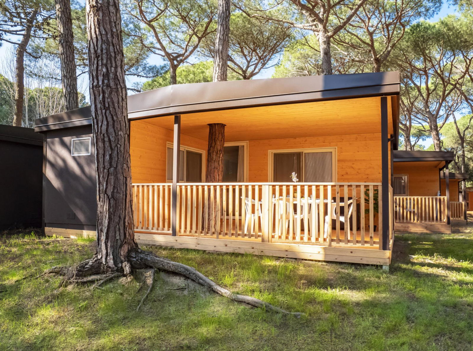 Hotel Sentido Spina Premium Camp