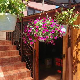 Hotel Casa Fabrizio cazare Calimanesti