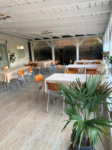 Hotel Vila Dedy