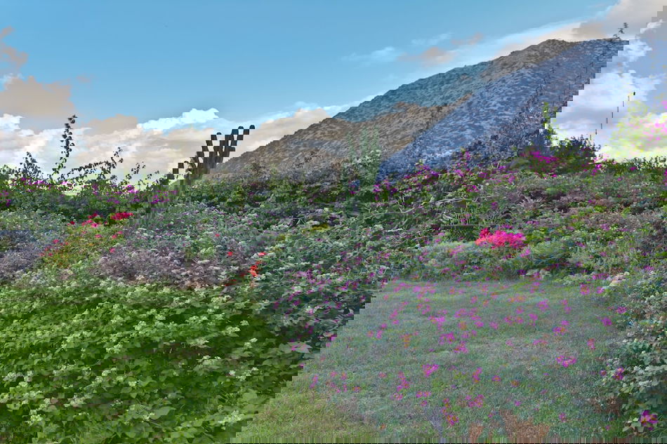 55d60b54_z