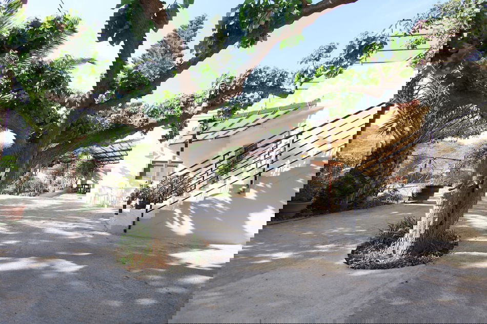0e12aa85_z