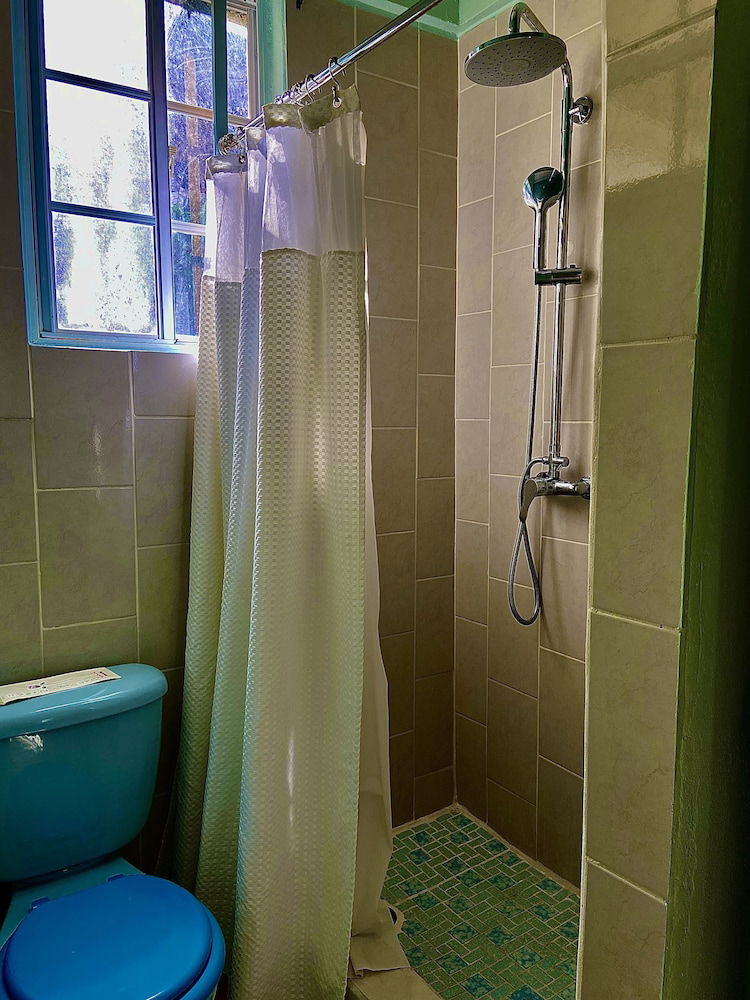 Hand-held showerhead