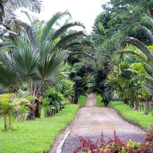 Sejur Superior Studio Free Wi-Fi Centrally Located Corales Del Sur 15 Km From Airport vacanta Santo Domingo