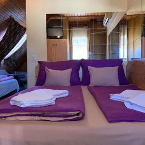 Hotel Sashalom cazare Budapesta