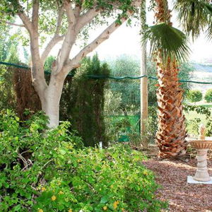 Hotel Bonalba Golf Resort cazare Alicante