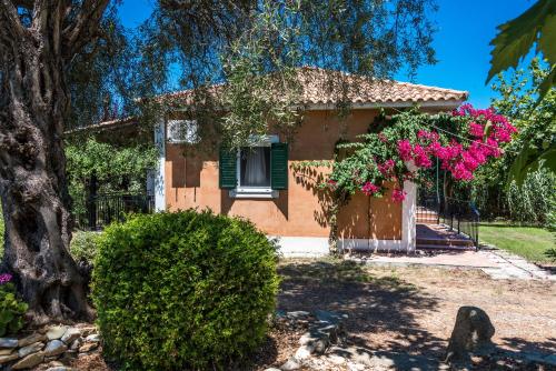 Hotel Nemorosa Apartments