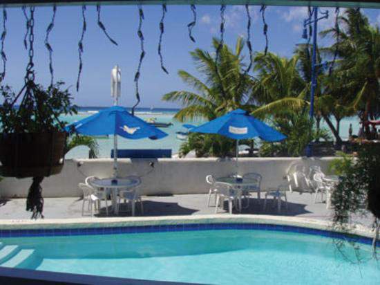 Yellow Bird Outdoor Pool