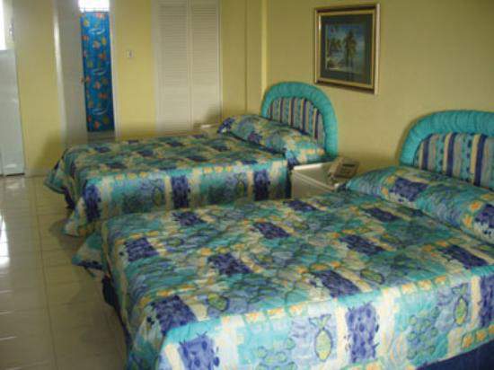 Yellow Bird Room Example