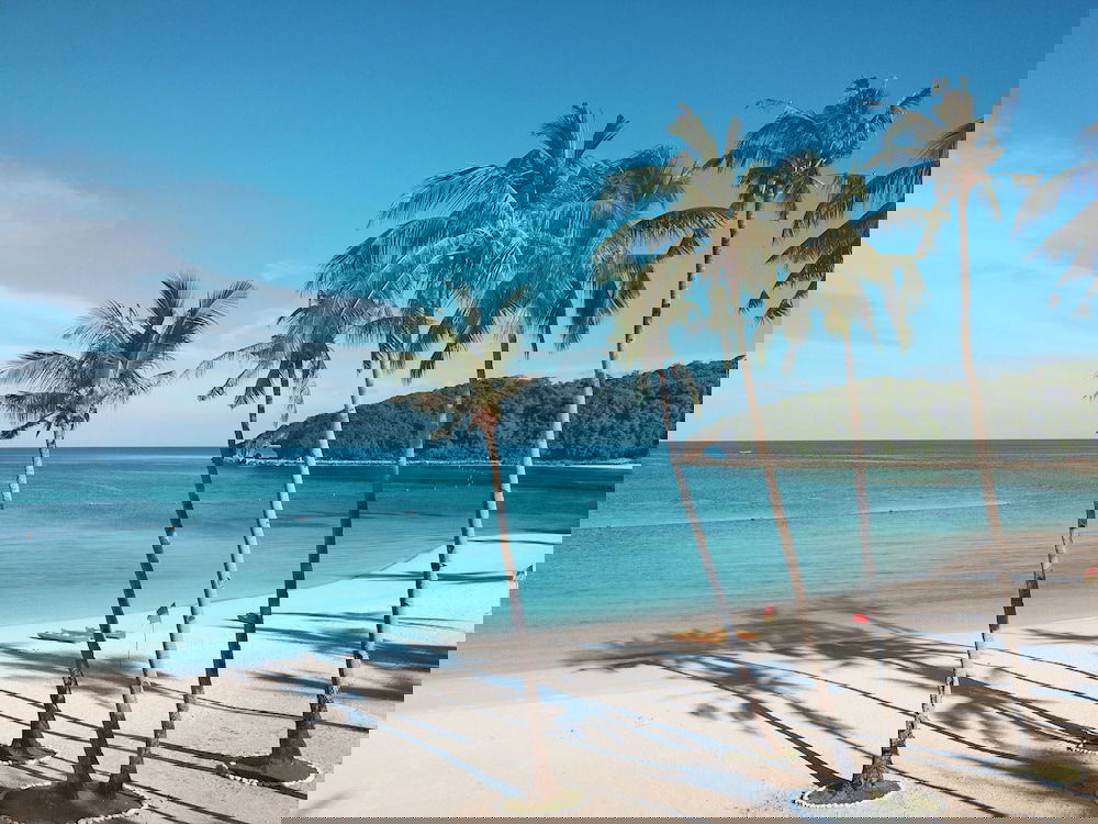 25e001a9_z