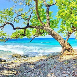 Sejur Equator Residence vacanta Maldive