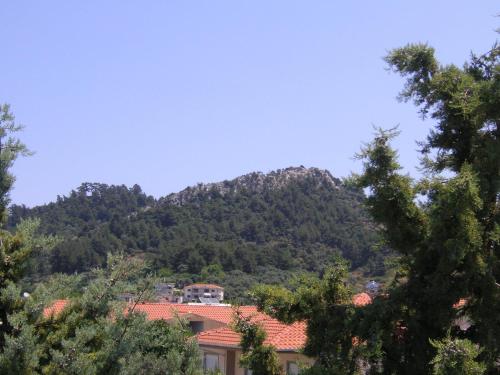 Danae Hotel
