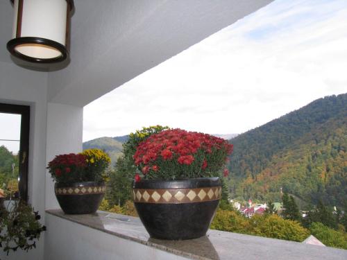 Hotel Pension Tv Condor