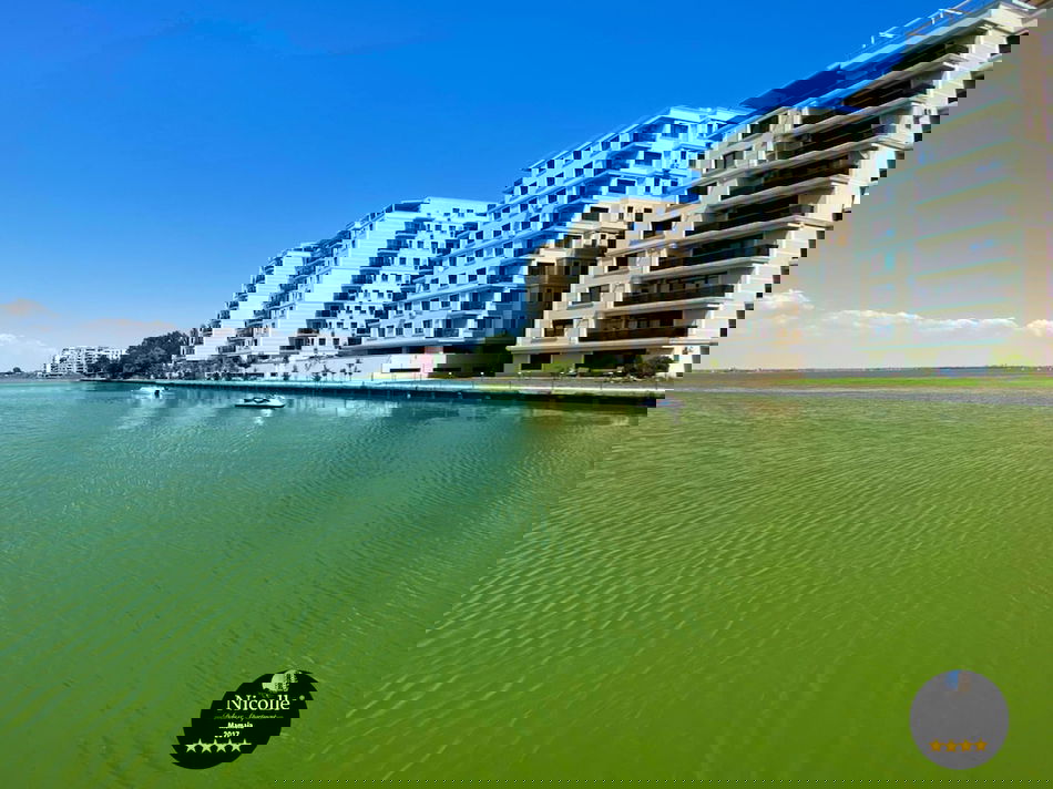Primary image
