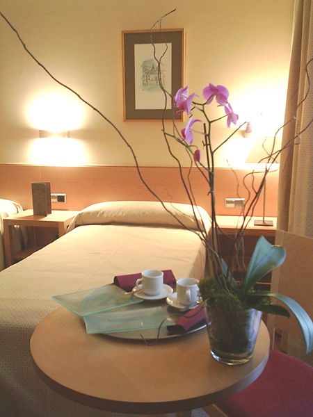 Victoria IV Room Example