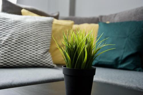 Hotel Creative Apartment Asboth Central