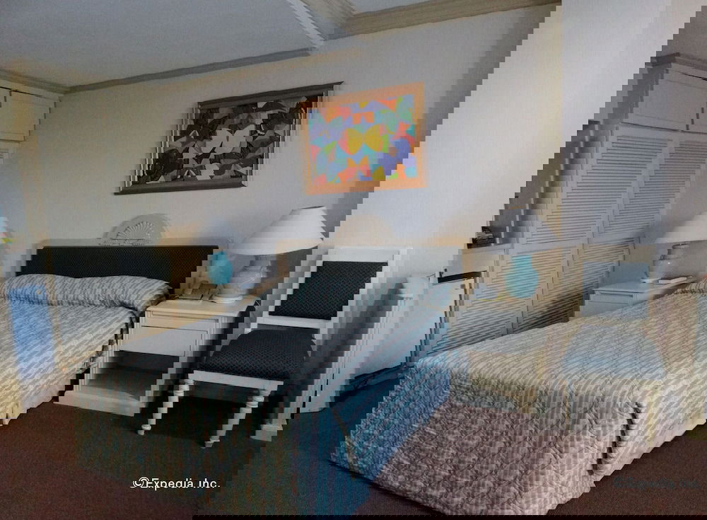 Primary image