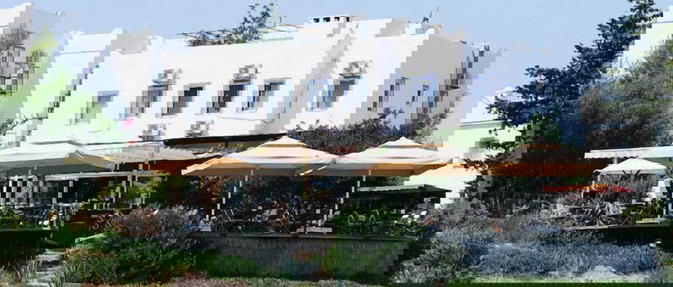 Primary image