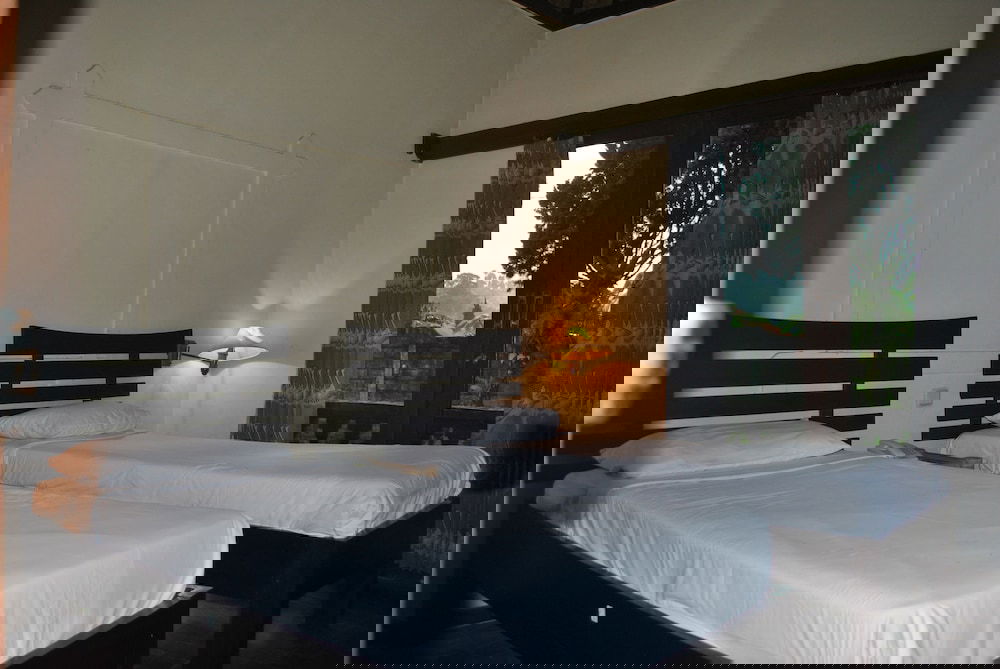 3c878716_z