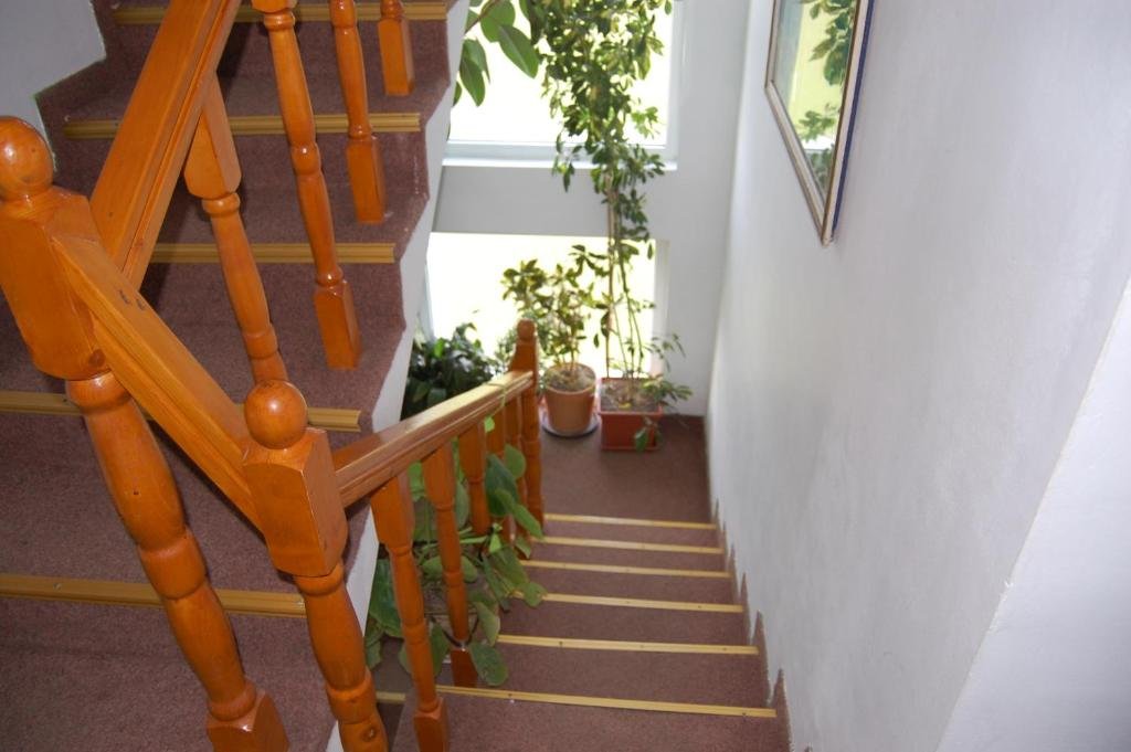 Hotel Pensiunea Vidra