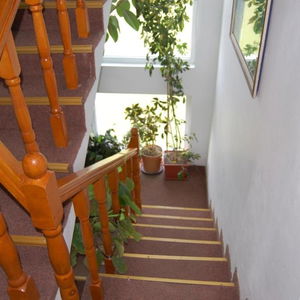 Hotel Pensiunea Vidra cazare Baile Felix