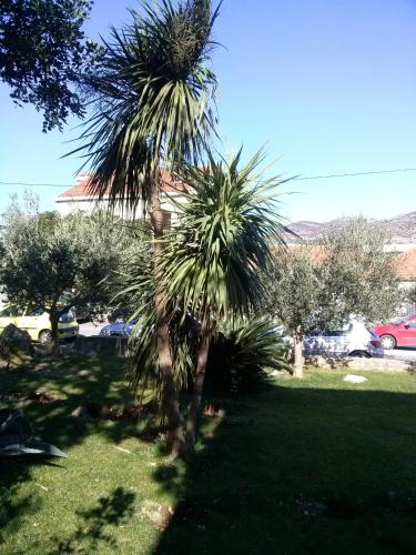 Hotel Private Accommodation Carevic
