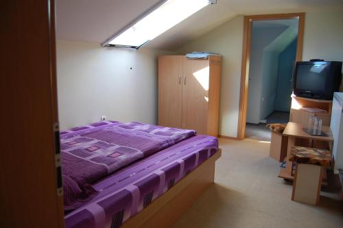Hotel Pensiunea Gavruta