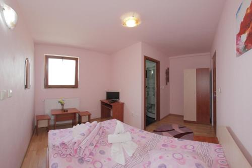 Hotel Pensiunea Diadis