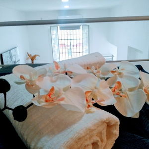 Sejur Wish-Suite Barrio De León vacanta SEVILIA