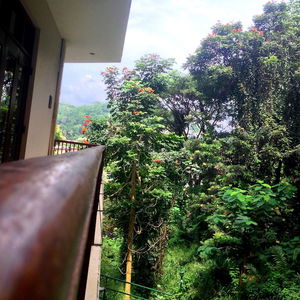 Sejur Lake Reach Residence vacanta Kandy