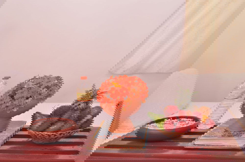 Hotel The Rock Bunglow