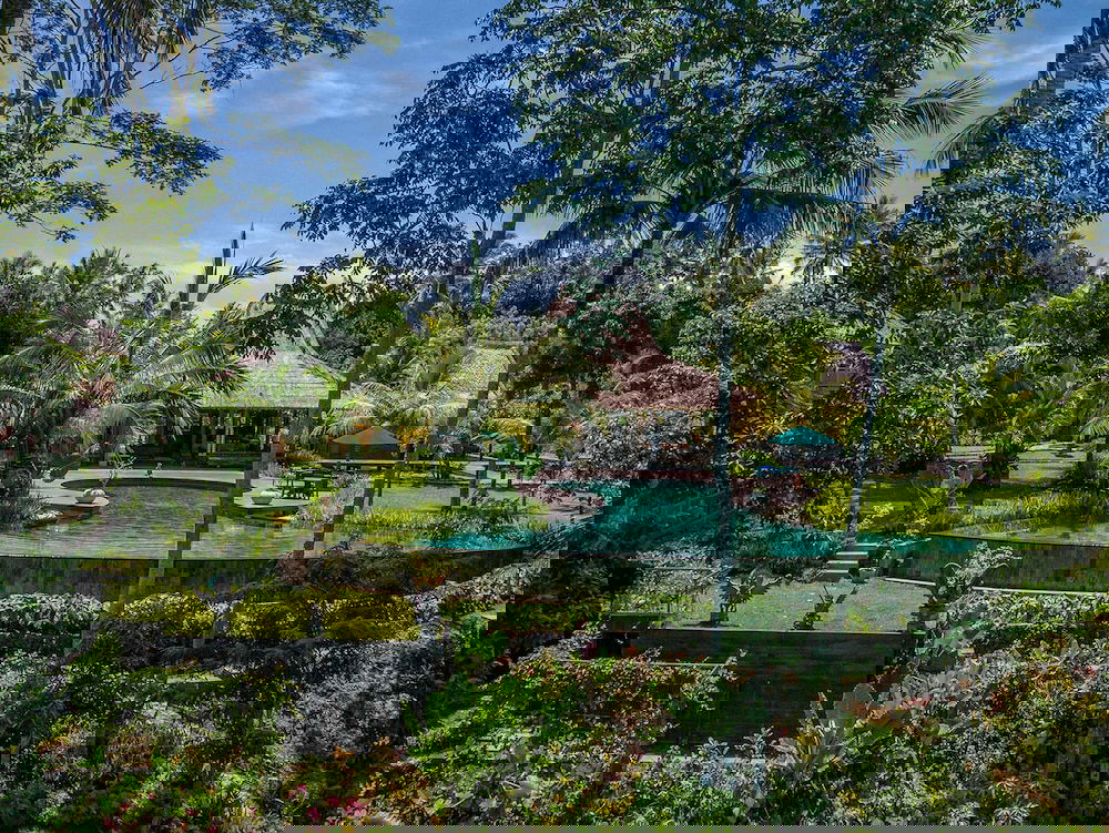 Primary image