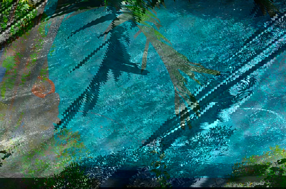 Primary image