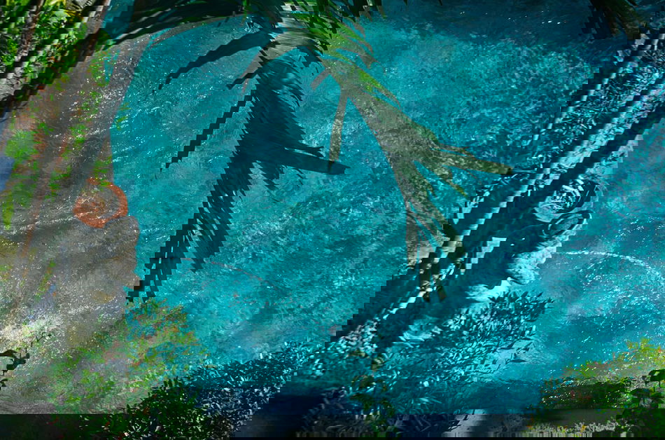 Primary image