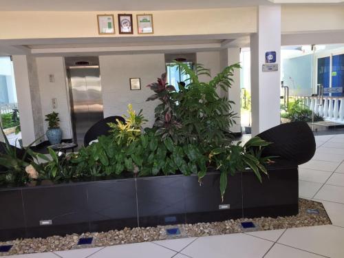 Hotel Cowrie Luxury Beach Studio
