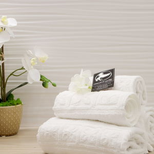 Hotel Pegasus Hotel Il Vialetto cazare Sassari