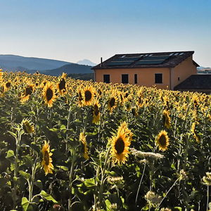 Hotel Tenuta Grimaldi cazare Matelica
