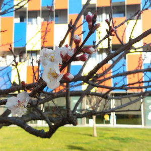 Sejur Centre Esplai Hostel vacanta Barcelona