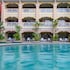 Ayodhaya Palace Beach Resort Krabi