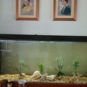 Sejur Krabi River Hotel vacanta Krabi