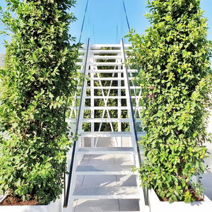 Sejur Mb Hostels Premium Eco vacanta Nerja