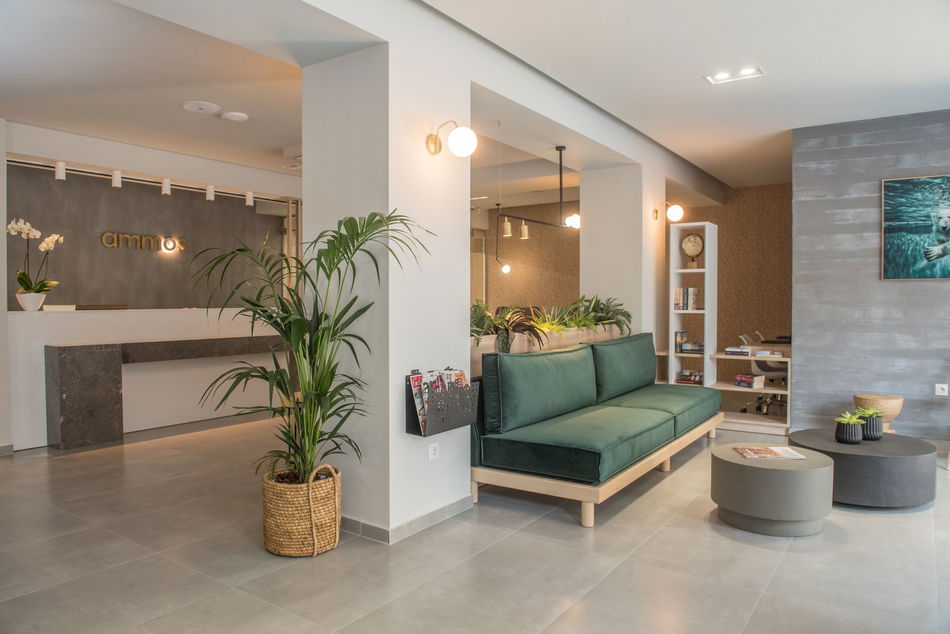 Ammos Beach Seaside Luxury Suites