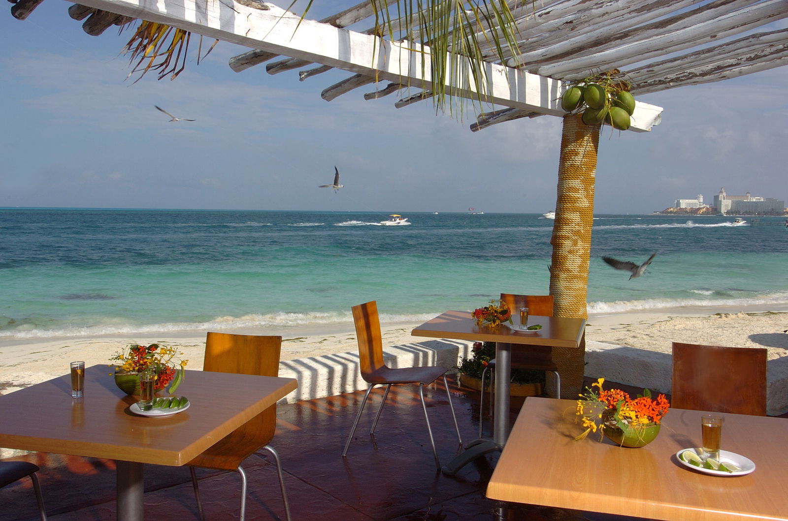 2535639-hotel-faranda-maya-caribe-cancun.jpg