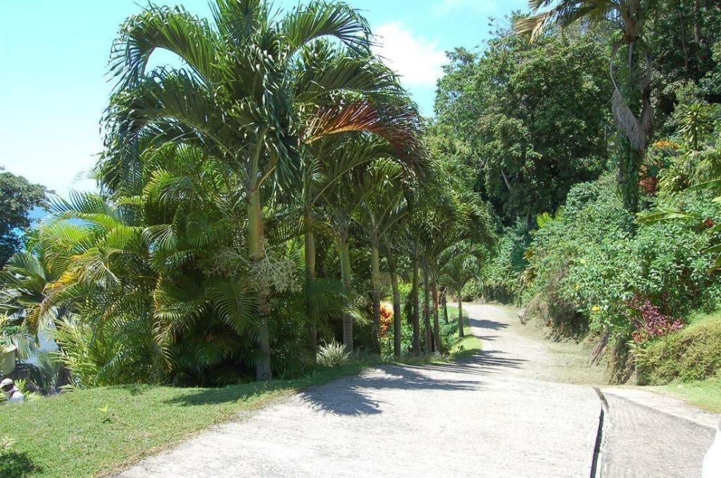 Hotel Sailfish Beach Villas