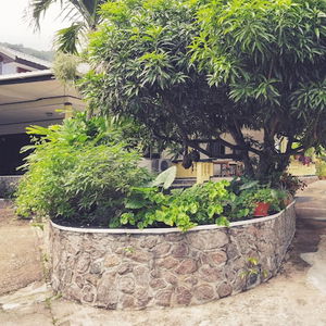 Sejur Lapasyans Self-Catering vacanta Victoria