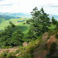 Sejur Apartamentos Miguel Angel vacanta Estepona