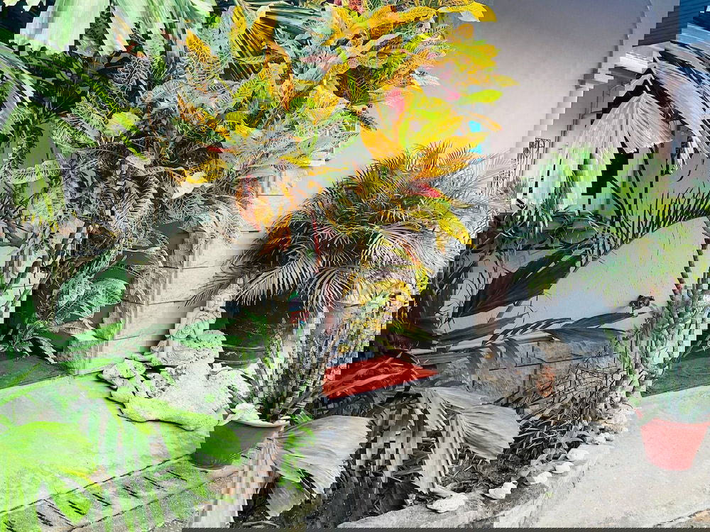 Hotel Effies Mountain View Villa Gecko Villa