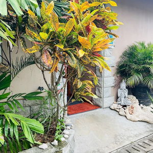 Sejur Effies Mountain View Villa Gecko Villa vacanta Victoria