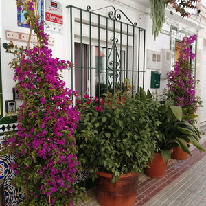 Sejur H Juan Vivienda Turística vacanta Marbella