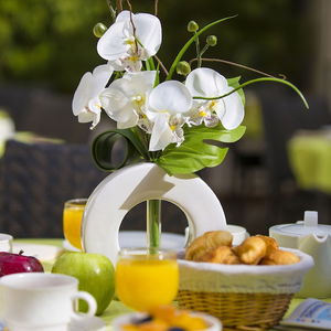 Sejur Best Western Plus Cannes Riviera Spa vacanta Cannes